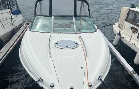Bayliner Cuddy 802