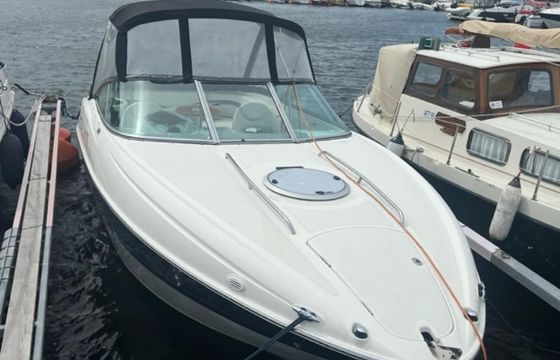 Bayliner Cuddy 802