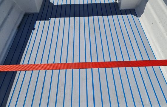Nydam 470 Fisk