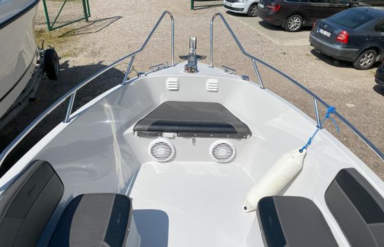 Silver Eagle 650