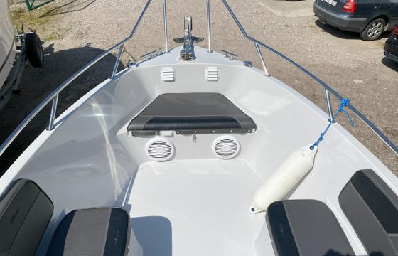 Silver Eagle 650