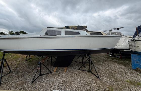 Jaguar 22
