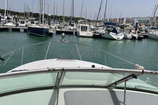 Rinker FIESTA VEE 300