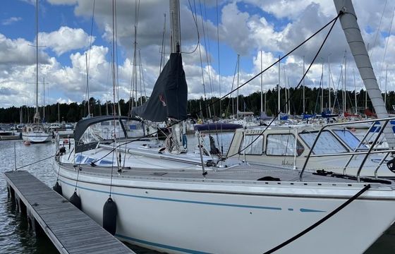 Bianca 36