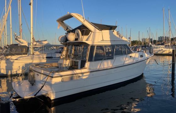 Bayliner 3288 Fly
