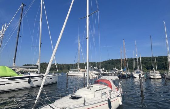 Albin Accent 26