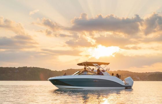 Sea Ray SDX 250