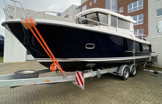 Sargo 31