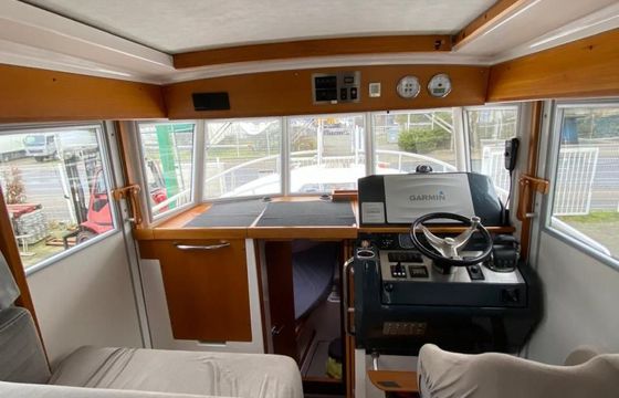 Sargo 31