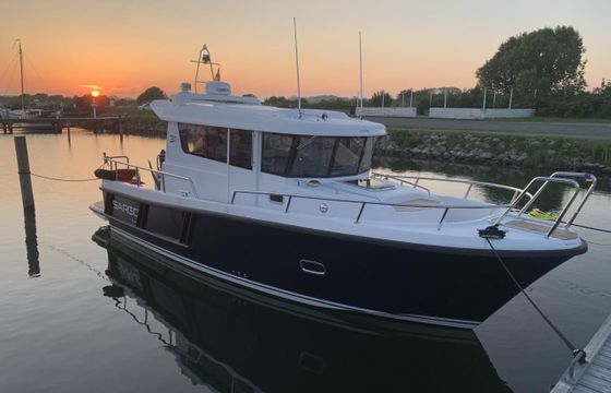 Sargo 31