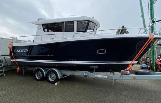 Sargo 31