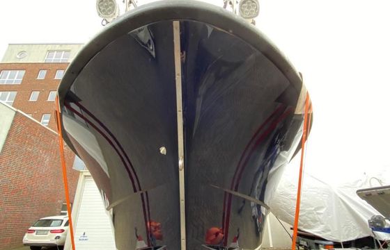 Sargo 31
