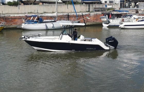 Robalo 260