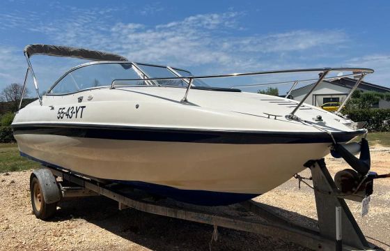 Bayliner Cuddy 212