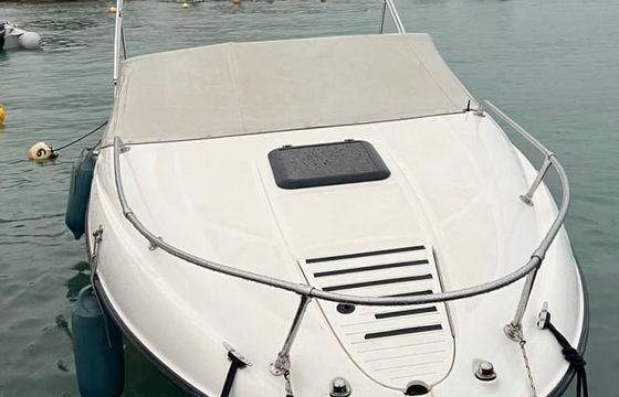 Bayliner Cuddy 212