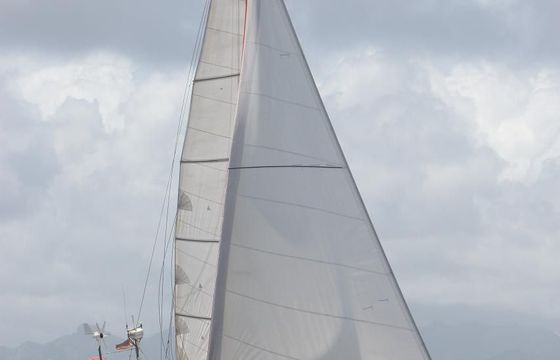 Koopmans Vanguard 11.50