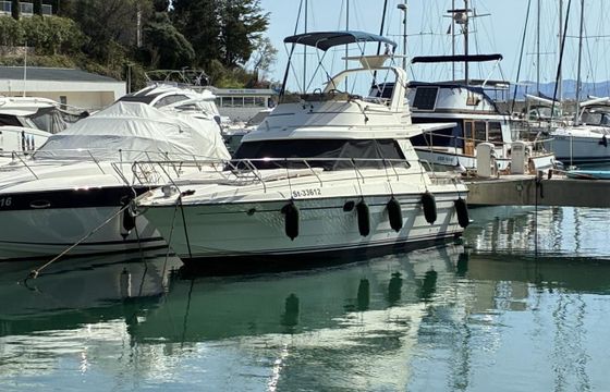 Princess 330