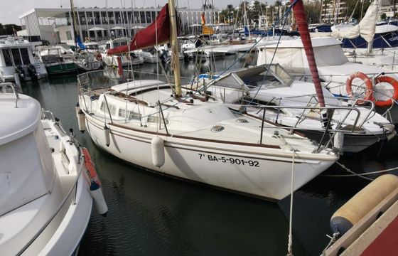 Jaguar 27