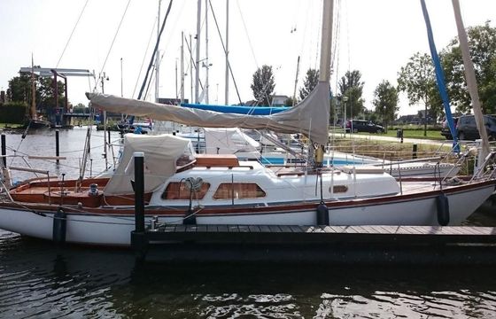 Delphin 66