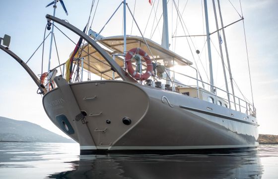 Puffin 58 centerboard