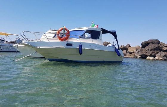 Saver 21 Fisher