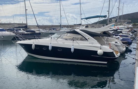 Bavaria Sport 37