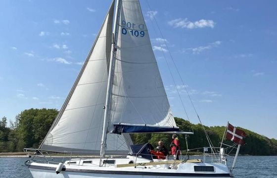 Compass 31