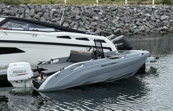 Sea Storm 13s Advantage Sport Serie mit Hidea 60PS