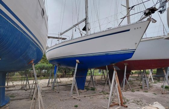 Dynamic 37