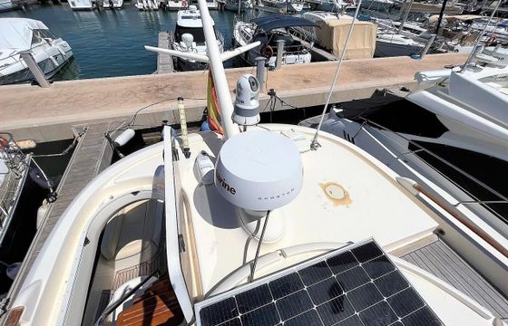 Mochi Craft Dolphin 54