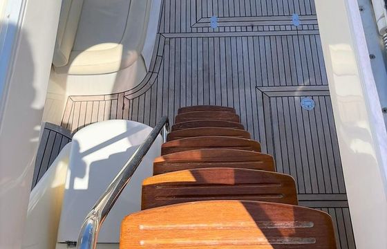 Mochi Craft Dolphin 54
