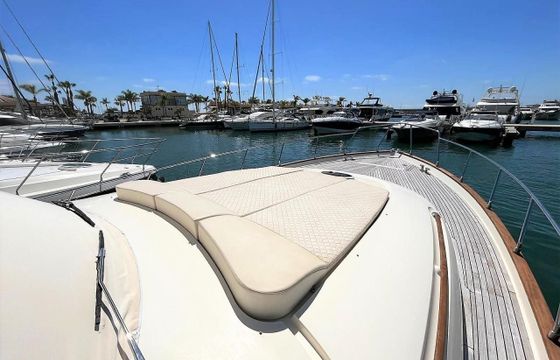 Mochi Craft Dolphin 54