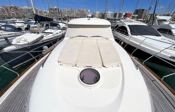 Mochi Craft Dolphin 54