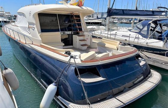 Mochi Craft Dolphin 54