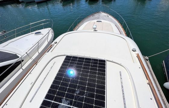 Mochi Craft Dolphin 54