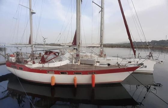 Wauquiez Amphitrite 43