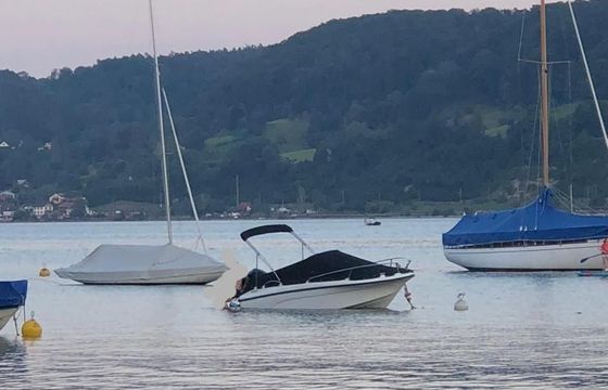 Trident Boats Sundeck 530