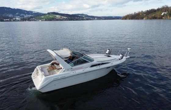 Sea Ray Ray 270 DA