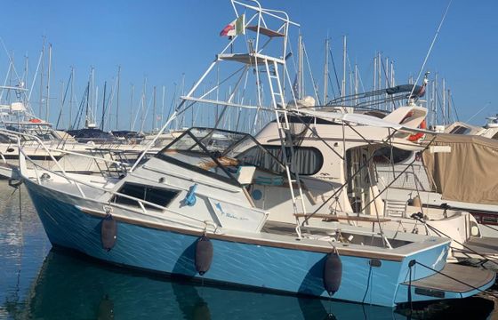 Striker 29