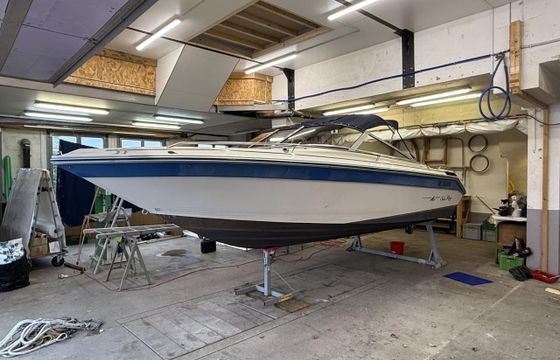 Sea Ray Sorrento S21CB