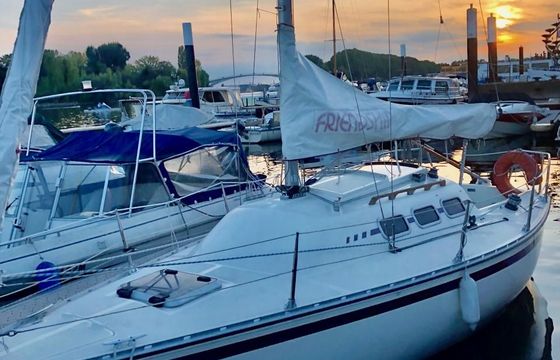 Meyer Friendship 22 S