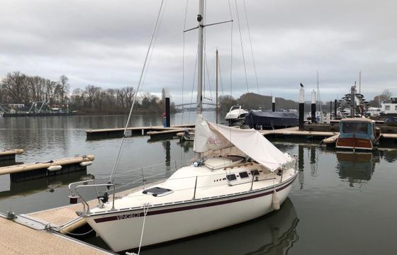 Meyer Friendship 22 S