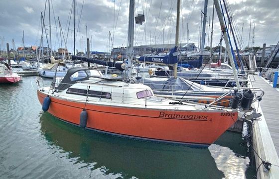 Sturgeon 28