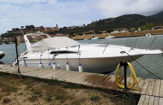 Sea Ray 290 DA