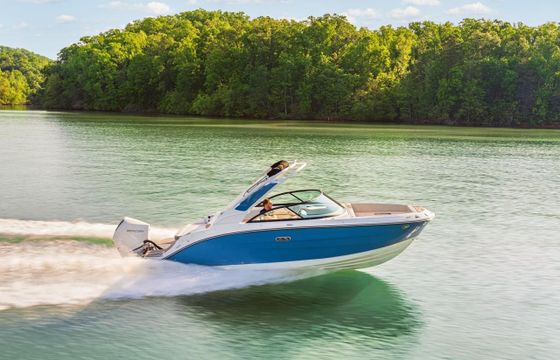Sea Ray SDX 230 Outbaord Europe