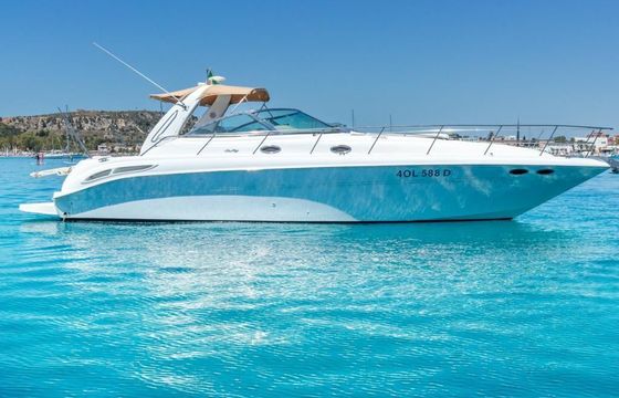 Sea Ray 455