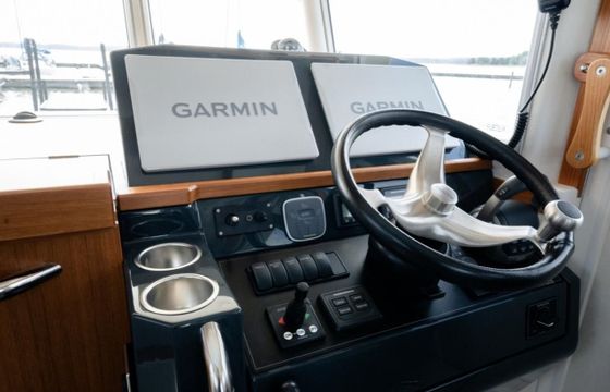 Sargo 33
