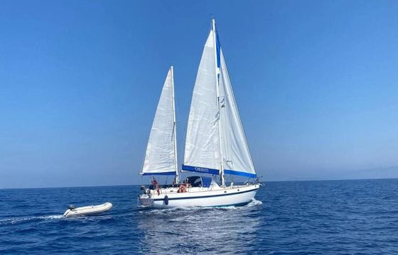Alpa 42