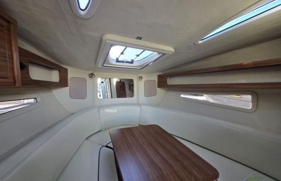 Brunswick 265 Sundancer