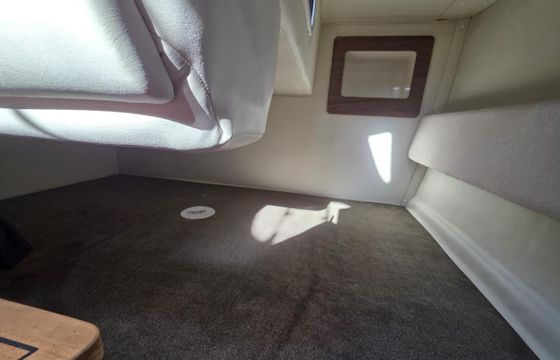 Brunswick 265 Sundancer